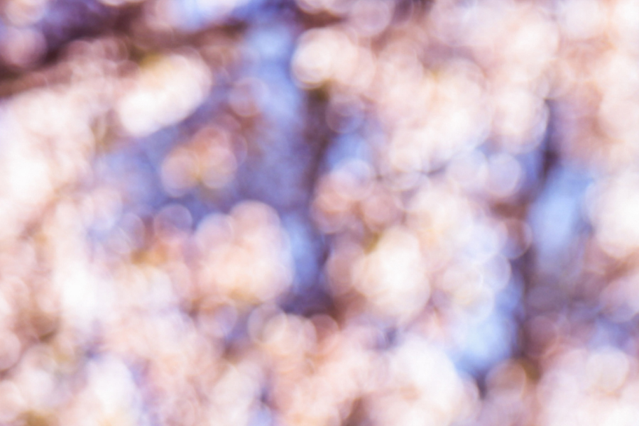 Artikel_Intext_BEFA_friedlotse_Artikel_2 Artikel_Intext_BEFA_friedlotse_Artikel_2