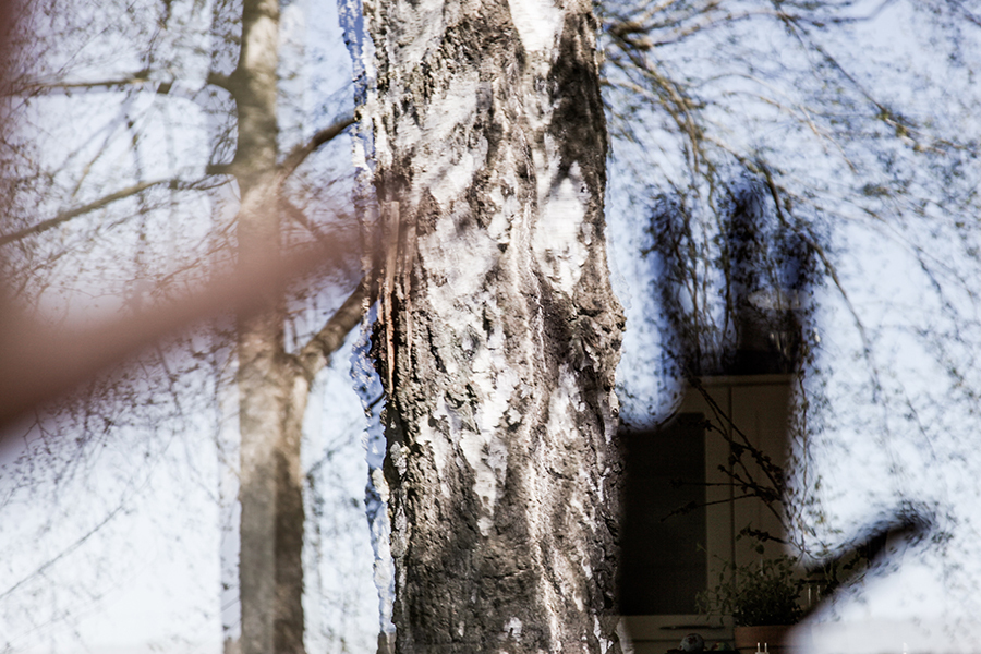 Artikel_Intext_BEFA_friedlotse_Artikel_3 Artikel_Intext_BEFA_friedlotse_Artikel_3