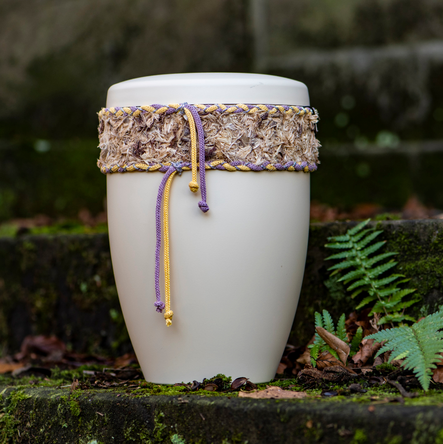 Intext_Artikel_Heiso27593_F-2