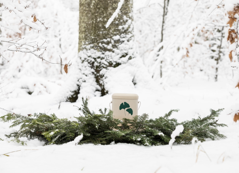 Newsbild_FriedWald_Exklusive-Durchwahl_Januar_24_830x600