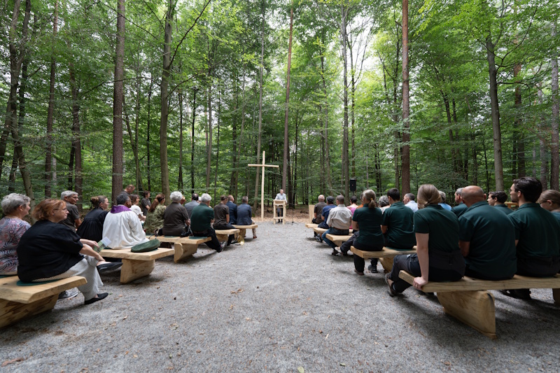 Newsbild FriedWald Neue Standorte Juli Beitragsbild